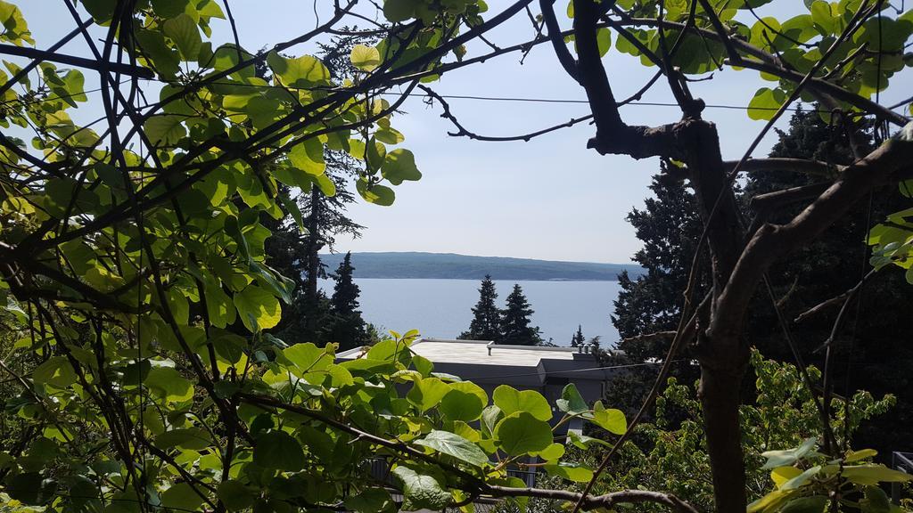 Matejcic Apartman *